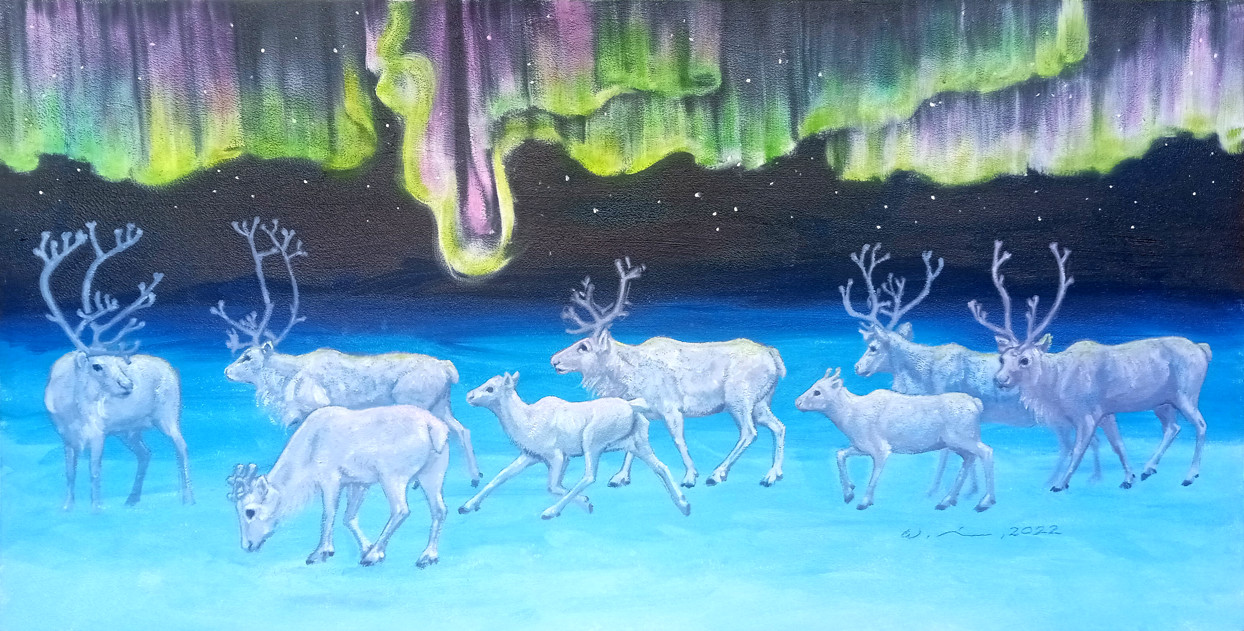 Peary Caribou Under Northern Lights